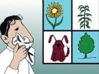 allergia 1_250x200_200x150.jpg