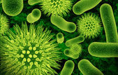 antibiogramm (1).jpg