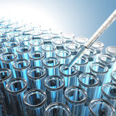 liszterzekenyseg 7.jpg